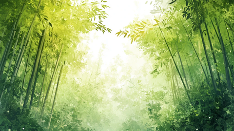 竹林背景桌面