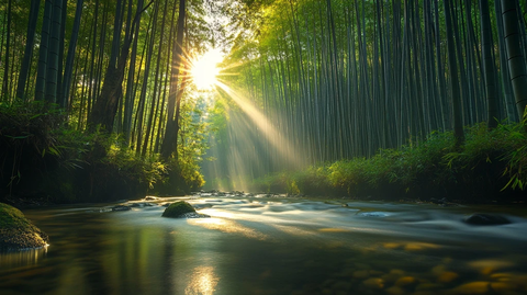 春天竹林瀑布晨曦唯美