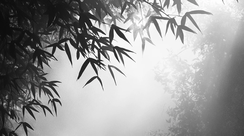 水墨竹林
