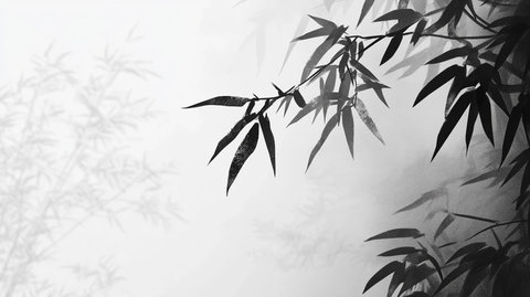 水墨竹影意境