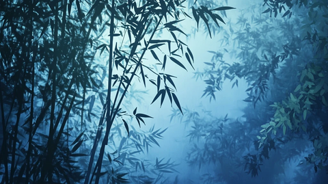 蓝色梦幻竹影