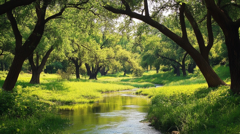 小河绿树背景