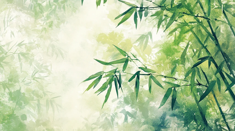 唯美竹叶背景