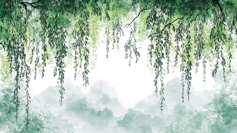 柳树枝叶壁纸