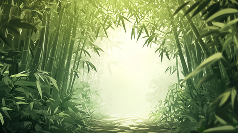 竹林背景插画