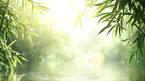 唯美竹林背景