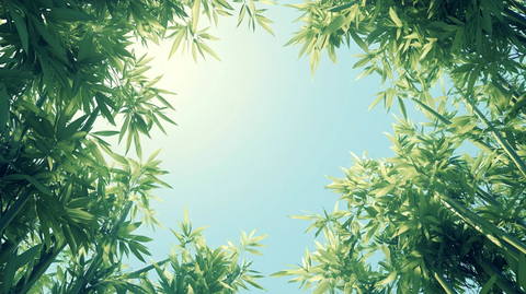 唯美竹叶背景