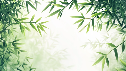 唯美竹叶背景
