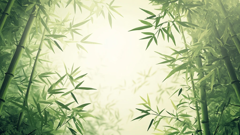 唯美竹林背景