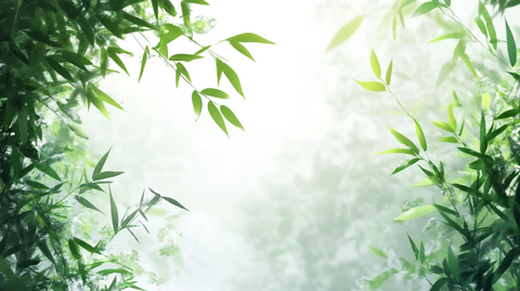 唯美竹林背景