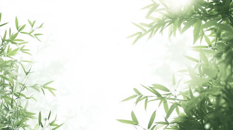 唯美竹叶背景