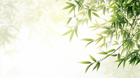 唯美竹叶背景