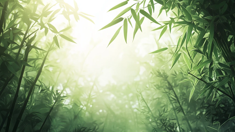 唯美竹林背景