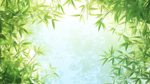 唯美竹叶背景