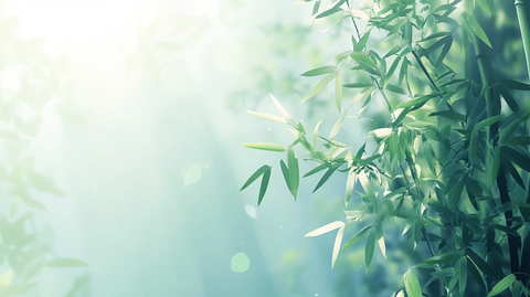 唯美竹叶背景