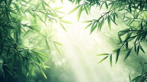 唯美竹林背景