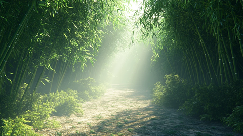 竹林小道素材