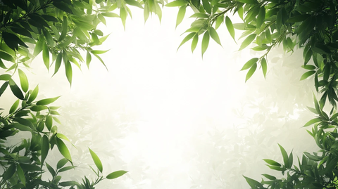 唯美竹叶背景