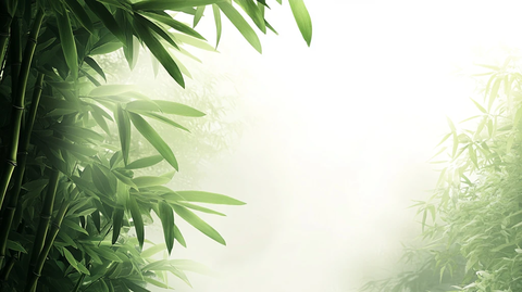竹林背景桌面