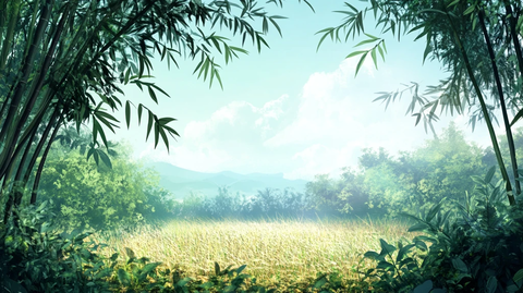 竹林背景插画