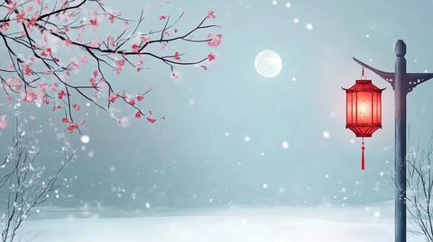 飘雪雪花雪景灯笼