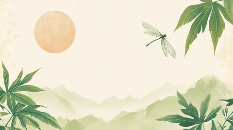 夏至背景海报背景