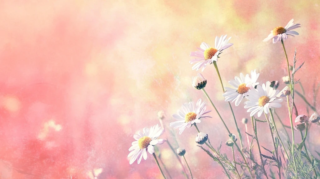 朦胧唯美花草背景