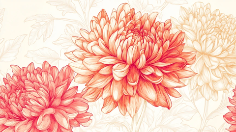 手绘大丽花