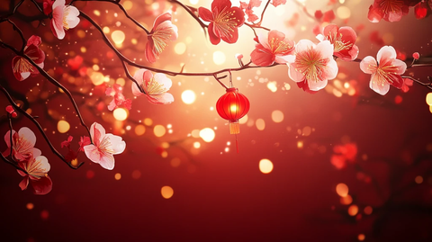 星光背景梅花花朵