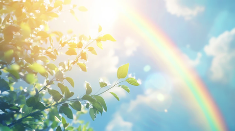 烈日彩虹