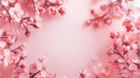 粉色梅花背景