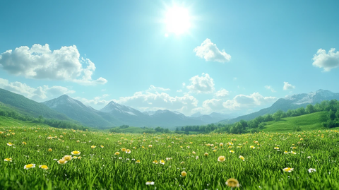 蓝天白云鲜花草地