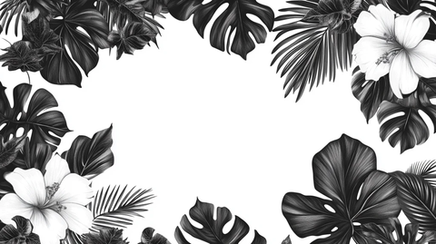 热带植物边框