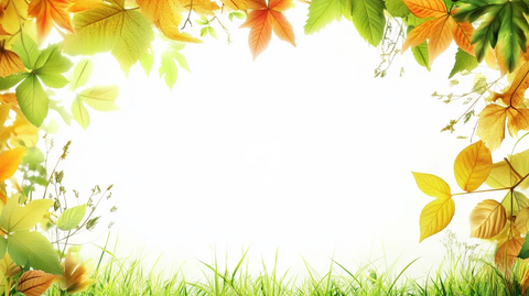 秋季展板背景