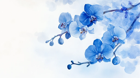 蓝色蝴蝶兰背景墙