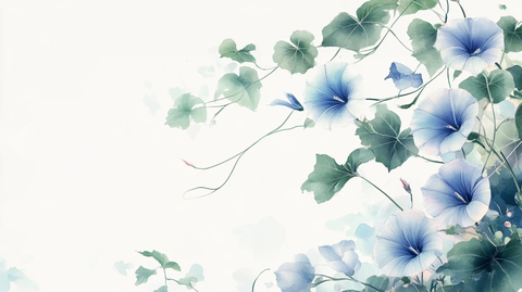 牵牛花背景画