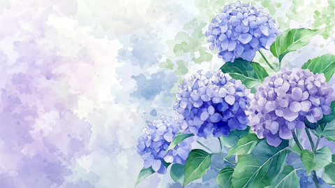 唯美绣球花背景