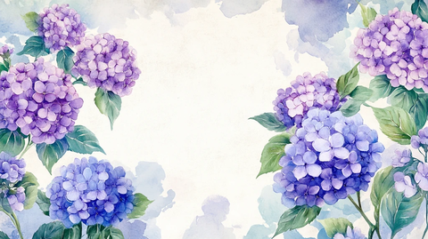 唯美绣球花背景