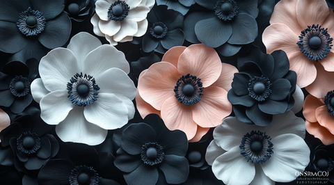 黑白粉海葵特写