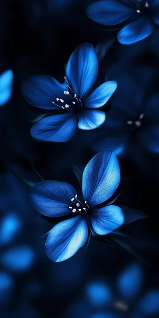 蓝花暗背景