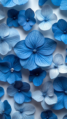 白底散落小蓝绣球