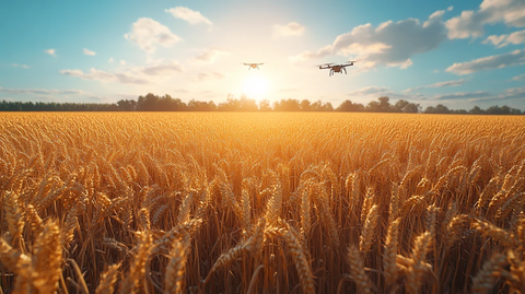 无人机飞越丰收田