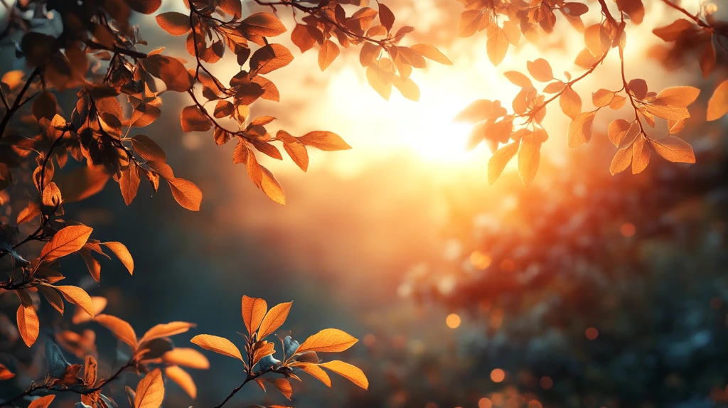 金色晨曦映秋林