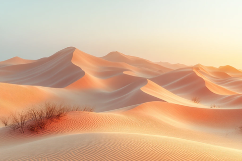 柔沙轻影映晴空